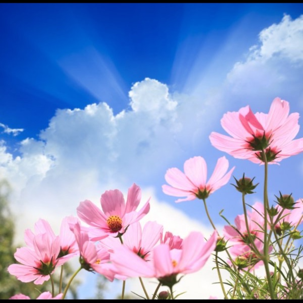 Meet your Posher, Wendy